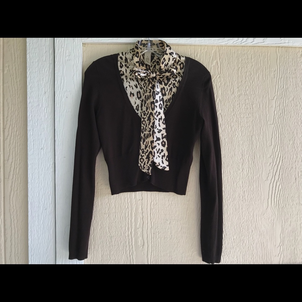 Chocolate brown sweater cheetah collar and bow